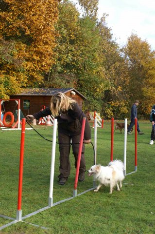 agility 2011-10-30